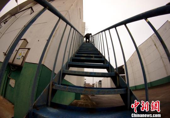 中央儲備糧江西泰和直屬庫有限公司保管員在倉庫巡查?！⊥蹶魂?攝